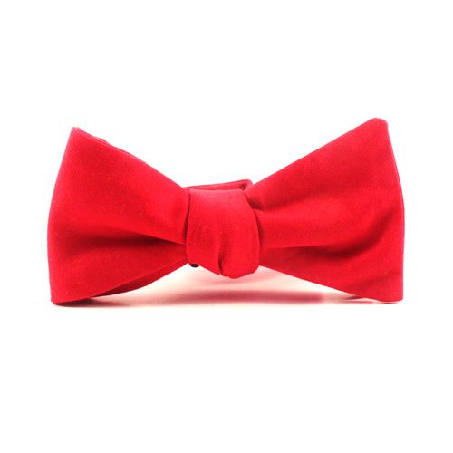 Robin Bow Tie